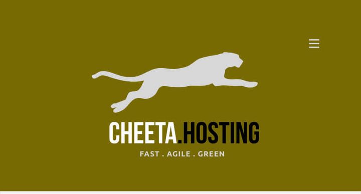 Cheeta Hosting – 웹사이트 스크린샷