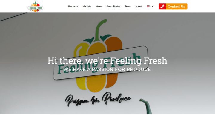 Feeling Fresh – website screenshot