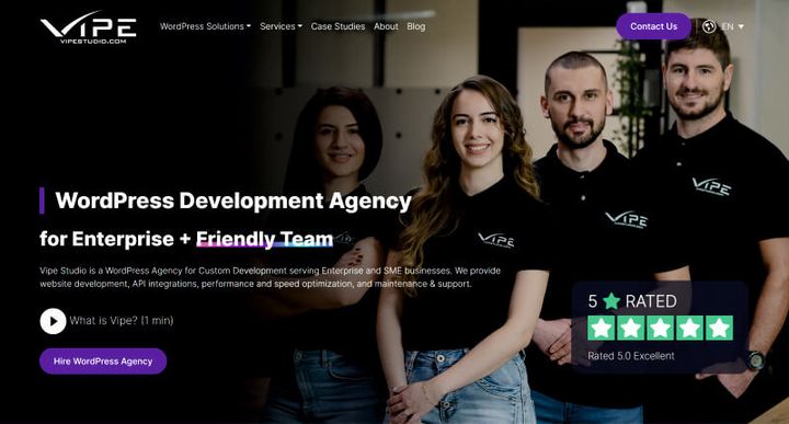 Vipe Studio – 웹사이트 스크린샷