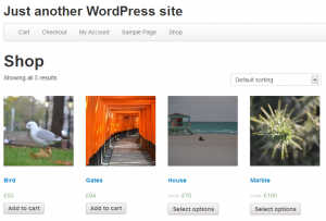 woocommerce-default-store-page