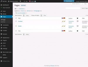 客户仪表板中的 WPML (pjmartin.ch)