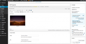 Amministrazione di Projects 1