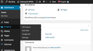Menu Projects aperto nell'area di amministrazione di WordPress