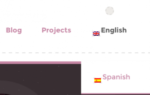 Il selettore necessita di una correzione CSS