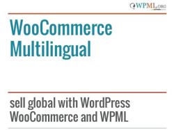 WooCommerce Multilingual