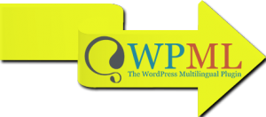 PolylangからWPMLへの移行
