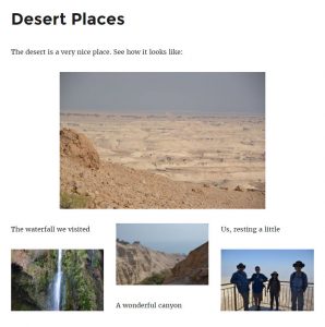 front-end-vc-page-narrow